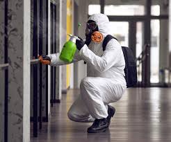 Why You Should Choose Our Mold Remediation Services in Foley, AL